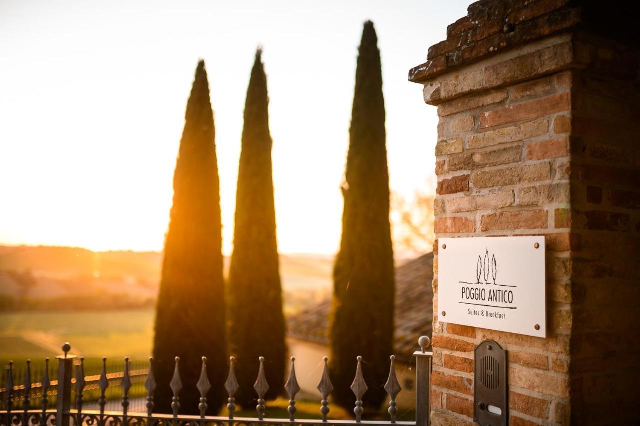 Poggio Antico Apartment Monte San Vito Exterior photo